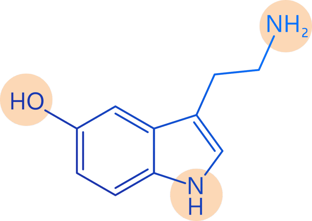 serotonin_formula_hero
